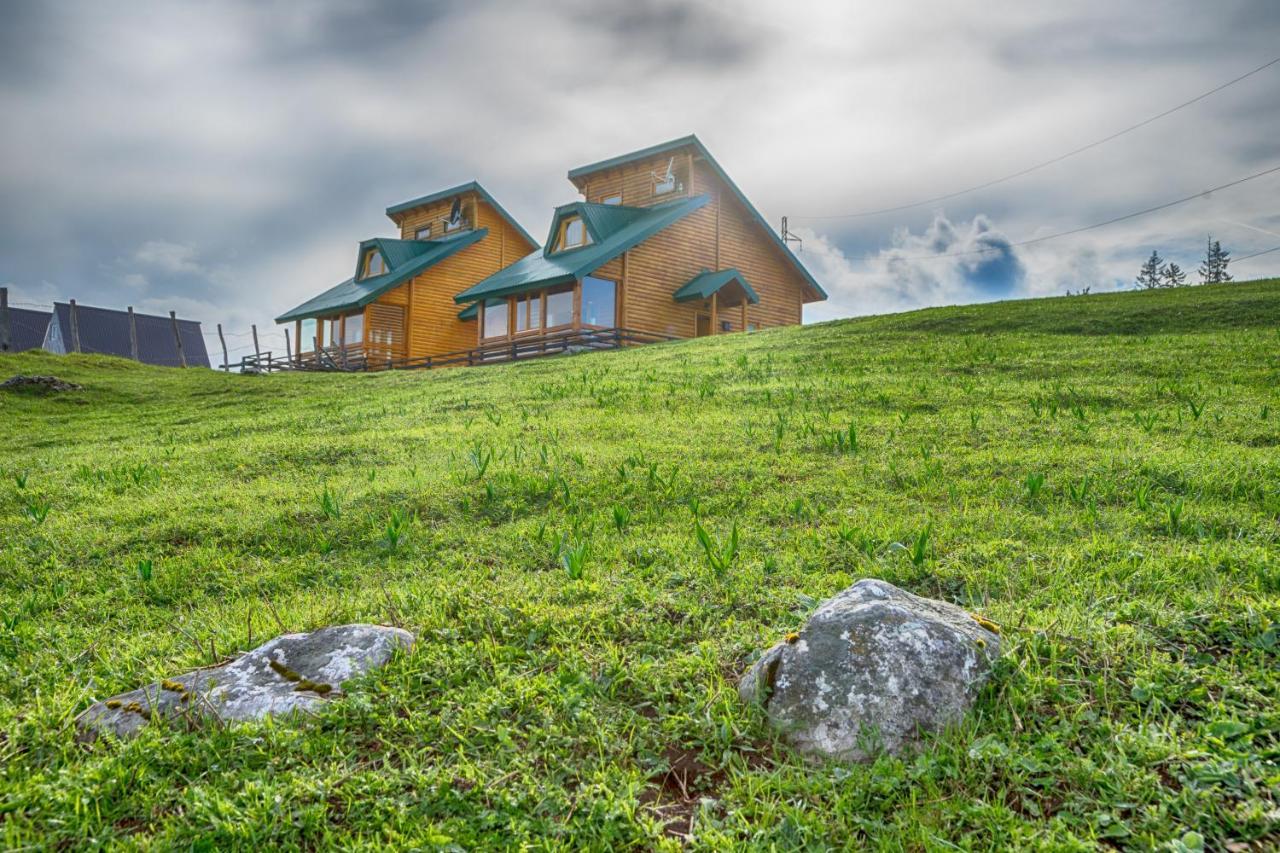 Villa Mountain House Ami à Žabljak Extérieur photo